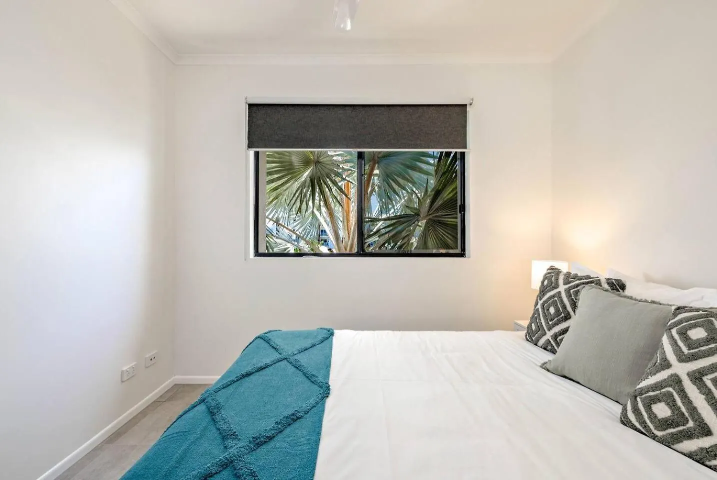 The Vibrant Tropics - Cairns' Palm-Lined Paradise